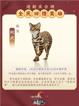 天龙八部私服流星狂风